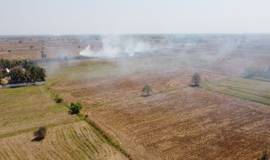 ไม่สนคำสั่งผู้ว่าฯโคราช!ชาวนาโนนสูงยังลอบจุดไฟเผาตอซังข้าวทำค่าฝุ่น PM2.5 พุ่งสูง