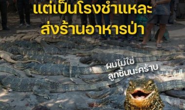 คอลูกชิ้นโล่งอก! ตร.ยันรง.ชำแหละตัวเงินตัวทองกองอื้อไม่ได้ส่งทำลูกชิ้นขายทั่วไทย