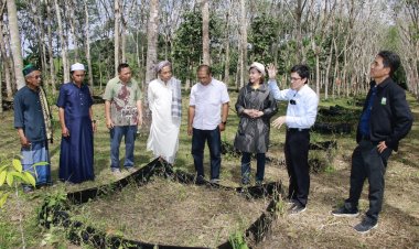 วช. นำนวัตกรรมชีวภัณฑ์แบบสารละลายและแบบเม็ด ผลผลิตจากงานวิจัย ช่วยแก้ปัญหาโรคใบร่วงชนิดใหม่ในยางพาราพืชเศรษฐกิจหลักภาคใต้