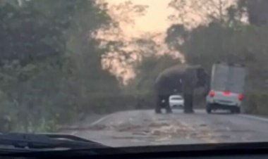 สุดระทึก! หนุ่มเปิดคลิปอีกมุมนาที"พี่ใหญ่"ตั้งด่านลอยโมโหไร้ของกิน ดันกระบะร่วงถนน