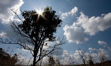 เข้าฤดูร้อนวันที่ 2 พรุ่งนี้กทม.ระอุแตะ 35 องศา เหนือ-อีสานยังเย็นช่วงเช้า