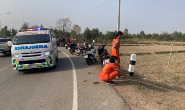 ระทึกปิกอัพขนคนงานตัดอ้อยหักหลบวัวเสียหลักพุ่งตกลงทุ่งนาเจ็บ 7 ราย