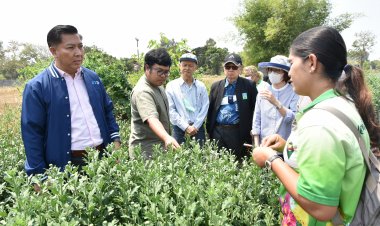 วช. จับมือ วว. ใช้งานวิจัย-นวัตกรรมทางวิทยาศาสตร์ ช่วยเกษตรกรผลิตดอกเบญจมาศบ้านตาติด ด้วยต้นพันธุ์ปลอดโรค