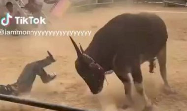 ระทึก!!ควายตื่นไล่ขวิดคนจูงช่วงรับรางวัล คนที่มาร่วมงานแตกกระเจิงคนละทิศคนละทาง