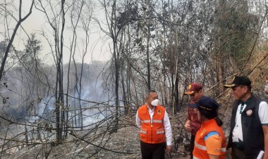 ไฟป่าเขาอีโต้ยังคงลุกลามแดงฉานกินพื้นที่ไปแล้วกว่า 1.2 พันไร่ไร้วี่แววมอดดับ