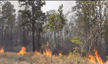 ชาวชัยภูมิเห็นใจจนท.ลุยดับไฟป่าลุกโหมไหม้เทือกเขาเขตอุทยานฯน้ำตกตาดโตน ไม่เว้นทุกวัน