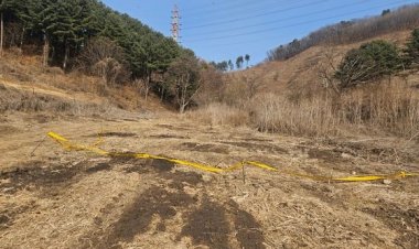 สลด!"ผีน้อย"ป่วยตายคาฟาร์มหมูที่เกาหลีใต้ เถ้าแก่กลัวความผิดอุ้มร่างทิ้งบนภูเขา