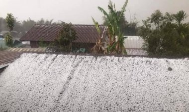 ขุนน่านเมืองน่านอ่วม!พายุฝนฤดูร้อนพัดกระหน่ำ ลูกเห็บถล่ม ขาวโพลนคล้ายหิมะ