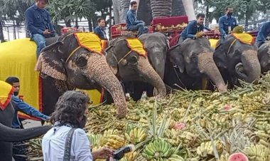 สวนนงนุชพัทยา  จัดงานวันช้างไทยอย่างยิ่งใหญ่ พร้อมพิธีฮ้องขวัญช้าง