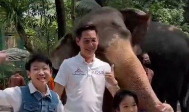 ว่าที่ผู้สมัคร ส.ส.รทสช.ทำกิจกรรมวันช้างไทยเน้นใช้สื่อออนไลน์เข้าถึงคนรุ่นใหม่