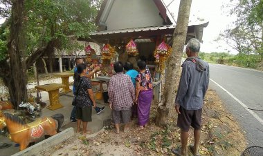 ชาวบ้านขอโชค!!จอมปลวกใหญ่เกาะศาลตาเจ้าวัดตั้งอยู่ริมถนนทุ่งประจาน-หนองฉาง