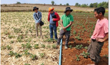 ซีพี - ซีพีเอฟ จัดหาข้าวโพดเลี้ยงสัตว์ผ่านระบบตรวจสอบย้อนกลับ จากแหล่งปลูกที่ไม่รุกป่า และไม่เผา 100%