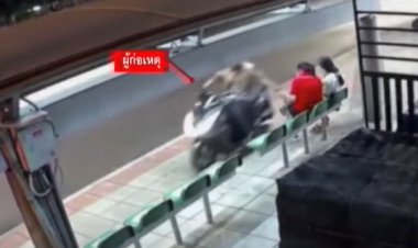 จับแล้วโจรวิ่งราวมือถือเหยื่อสาวกลางกรุง