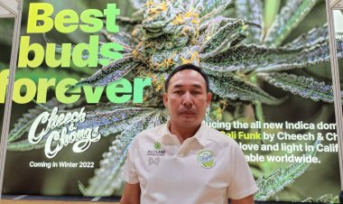 วิสาหกิจชุมชนฯ เตรียมยื่นหนังสือต่อ ‘อนุทิน’ เร่งแก้ปัญหากรณีนักธุรกิจหัวใสลักลอบนำเข้ากัญชา ทำเกษตรกรผู้ปลูกกัญชาเดือดร้อนหนัก