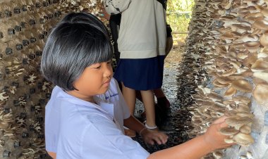 พลิกแปลงเกษตรในโรงเรียนสู่ Smart Farming "ซีพีเอฟ" ถ่ายทอดเทคโนโลยี IoTจุดประกายคนรุ่นใหม่