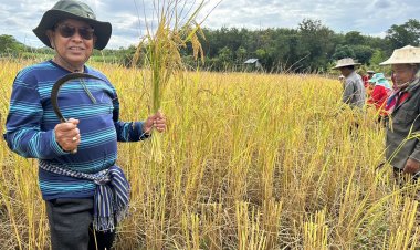 “สุเทพ”ขอบคุณจีนสั่งปิดโรงงานข้าวหอมมะลิปลอม แนะ ไทย ตรวจสอบข้าวถุงในประเทศ ด้วย !