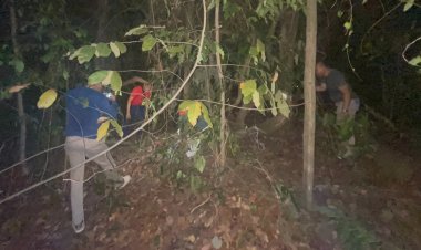 ตำรวจระดมค้นหา 2 ชาวจีนถูกแก๊งชาติเดียวกันอุ้มเรียกค่าไถ่ รวบผู้ต้องสงสัย 1 อีก 1 หนีซุกเซี่ยงไฮ้