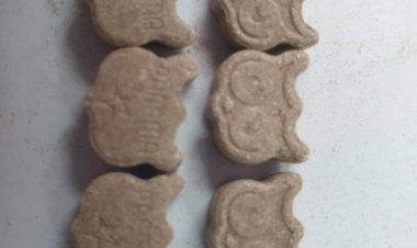 กรมศุลกากร ตรวจยึดยาเสพติดให้โทษประเภท 1 (ECSTASY) ซ่อนในถุงขนมช็อกโกแลตน้ำหนักรวมสิ่งห่อหุ้มประมาณ 5.04 กิโลกรัม มูลค่า 5.5 ล้านบาท