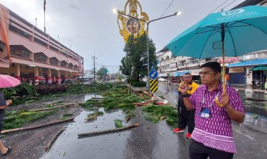 พายุฝนถล่มเมืองยะลาบ้านเรือนเสียหายหนักต้นสนกว่า 40 ปีหักโค่น โชคดีไม่มีใครเสียชีวิต