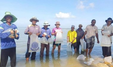 เครื่อข่ายชุมชนประมงฯปล่อยพันธุ์ปลากะพงและกุ้งแช่บ๊วยฟื้นฟูทรัพยากรธรรมชาติอ่าวปัตตานี