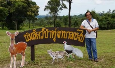 "ป่าห้วยสำราญ"ป่าแหล่งต้นน้ำหล่อเลี้ยงชีวิตคนสุรินทร์-ศรีสะเกษ ถูกรุกรานหนัก