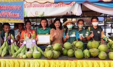 ยกระดับคุณภาพผลผลิตเกษตร!ศรีสะเกษจัดเทศกาลข้าวโพดหวานและของดีศรีรัตนะ