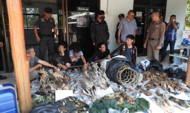 สนธิกำลังสกัดจับแก๊งเวียดนามลอบตัดไม้กฤษณาบนอุทยานฯภูเขียวยึดของกลางกว่า 130 กก.