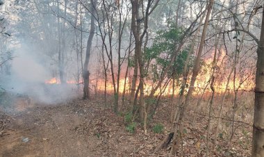 ชาวบ้านไม่สนคำเตือนลอบเผาป่ารายวันทำค่าฝุ่น Pm 2.5 เมืองสีคิ้วพุ่งสูงไม่หยุด