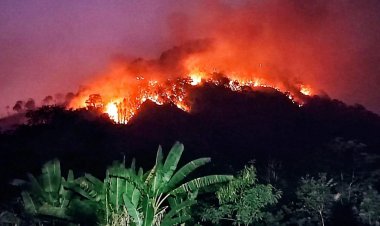 ยังไม่สงบ!ไฟป่านครนายกลมพัดลุกโชนเขานางดำ-จนท.ระดมพลสแตนด์บายรับมือ
