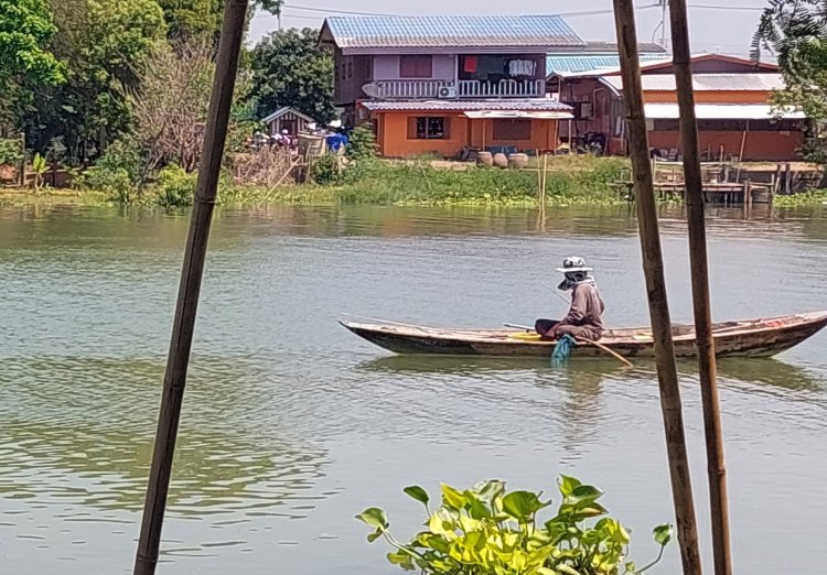 ชาวประมงท้องถิ่นยิ้มอิ่มใจตกกุ้งแม่น้ำที่อยุธยาขายรายได้งามก.ก.ละ 1 พันบาท