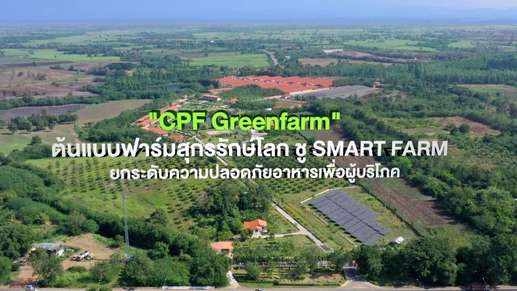 ซีพีเอฟ เดินหน้า Greenfarm - Smart Farm ยกระดับการเลี้ยงหมูปลอดภัยเป็นมิตรกับสิ่งแวดล้อม