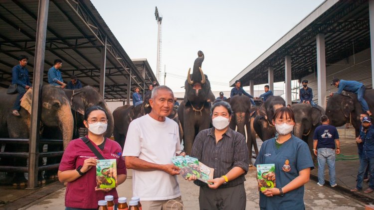 ช้างลำปางมอบเวชภัณฑ์ดูแลสุขภาพเบื้องต้นให้กับปางช้างสวนนงนุชพัทยา