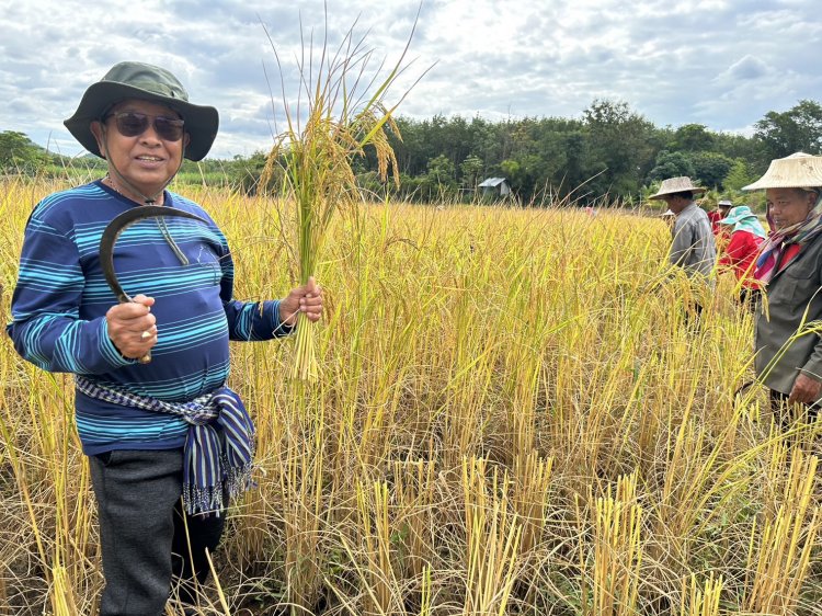 “สุเทพ”ขอบคุณจีนสั่งปิดโรงงานข้าวหอมมะลิปลอม แนะ ไทย ตรวจสอบข้าวถุงในประเทศ ด้วย !