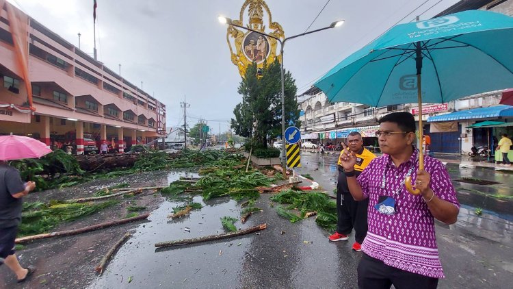 พายุฝนถล่มเมืองยะลาบ้านเรือนเสียหายหนักต้นสนกว่า 40 ปีหักโค่น โชคดีไม่มีใครเสียชีวิต