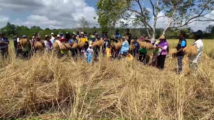 สัญญาณเตือน "ความมั่นคงทางด้านอาหารภาคใต้"เริ่มวิกฤติ ต้องเร่งปฏิบัติการปลูกข้าวและส่งออกต่างประเทศ