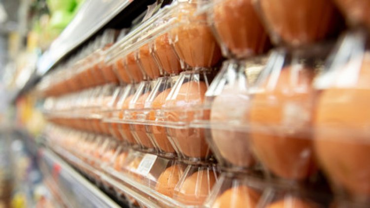 ไข้หวัดนกแพร่ระบาดต้องทำลายแม่ไก่ทิ้งฉุดไข่ไก่ขาดแคลนทั่วโลก ราคาปรับตามกลไกตลาด