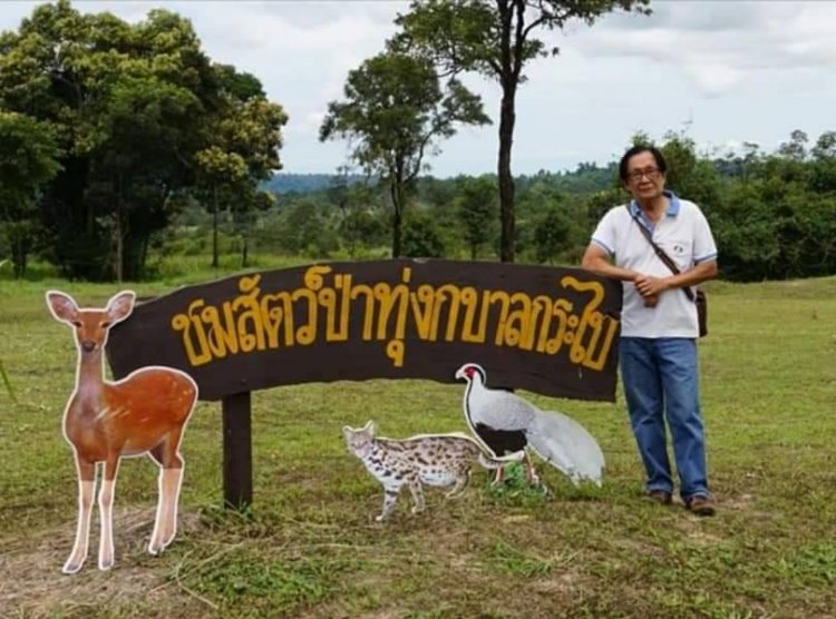 "ป่าห้วยสำราญ"ป่าแหล่งต้นน้ำหล่อเลี้ยงชีวิตคนสุรินทร์-ศรีสะเกษ ถูกรุกรานหนัก