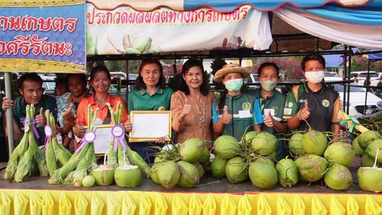 ยกระดับคุณภาพผลผลิตเกษตร!ศรีสะเกษจัดเทศกาลข้าวโพดหวานและของดีศรีรัตนะ