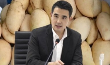 กรมการค้าฯเตรียมใช้ “อมก๋อย โมเดล” นำผู้ประกอบการ ผู้ส่งออก ห้าง ซื้อมะม่วง นำร่องที่พิษณุโลก พิจิตร