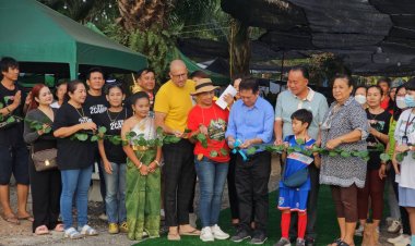 ทีมตัวตึงใบไผ่ คว้า 13 รางวัล จากประกวดบอนสีงาน "เขาชีโอน เกษตร เฟสติวัล" 66