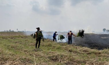 โคราชอ่วมฝุ่นพิษ!5เดือนเจอไฟป่าลาม 16 ครั้ง ทำพื้นที่เสียหายกว่า 200 ไร่