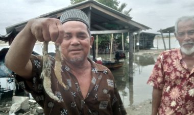 เดือดร้อนหนัก!ชาวประมงพื้นบ้านบ้านบูดีโอดครวญดักอวนลอยกุ้งขาวทั้งวันได้แค่5ตัว