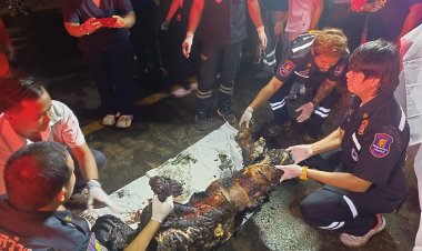 สลด!เก๋งพุ่งชนรถใหญ่ไฟลุกไหม้คลอกคนขับดับคาซากรถ