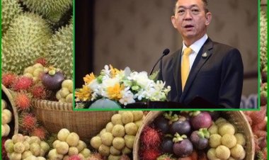 “เฉลิมชัย”มอบฟรุ้ทบอร์ดเร่งเดินหน้า 23 มาตรการเชิงรุกภายใต้แผนบริหารจัดการผลไม้ฤดูกาลผลิตปี 2566