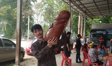 เกณฑ์ทหารครั้งเดียวให้โลกจำ!หนุ่มอุ้มปลัดขิกใหญ่ยักษ์เกณฑ์ทหารจับได้ใบดำ