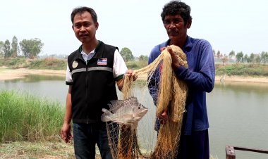 ประมงพิจิตรแจงเกษตรกรขึ้นทะเบียนกลุ่มผู้เพาะเลี้ยงสัตว์น้ำมีสิทธิรับเงินหนุน 1 แสน บาท