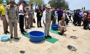 ประธานองคมนตรีเปิดโครงการอนุรักษ์ทรัพยากรและวางปะการังเทียม เกาะแสมสาร
