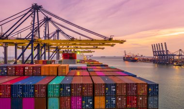 ผู้ให้เช่าตู้คอนเทนเนอร์ หนุนแก้หมูเถื่อน