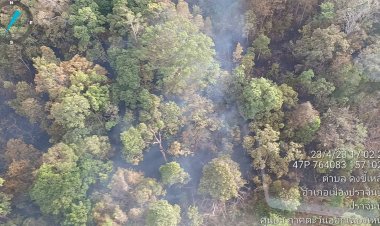 โล่งอก!พายุฤดูร้อนฝนกระหน่ำไฟป่าบนเขาใหญ่เทือกเขามดแดงดับสนิทแล้ว