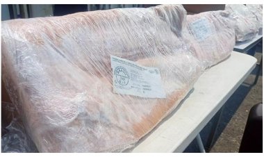 ผู้เลี้ยงหมู ยันรัฐต้องทำลายหมูเถื่อนค้างตู้ 4.5 ล้านกิโลกรัมทันที